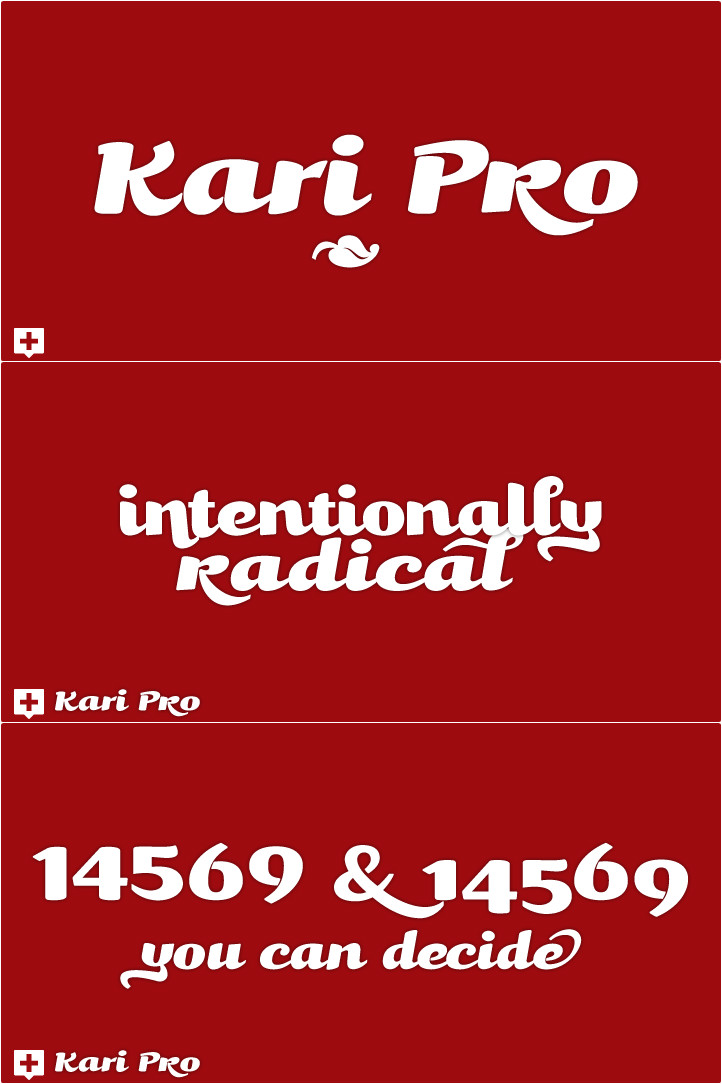 Kari 4 Pro Crack Download