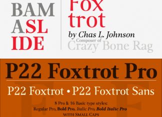 din pro font family github