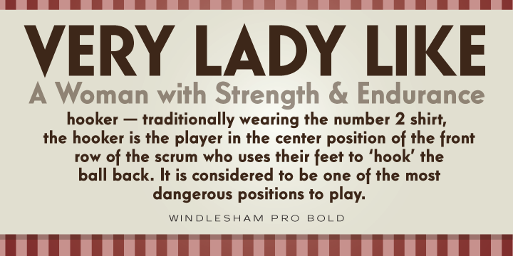 windlesham pro medium font