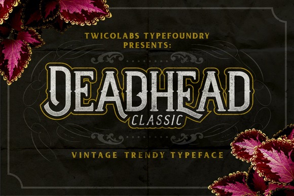 Image Result For Deadhead Script Font Free Image Result For Deadhead Script Font Free