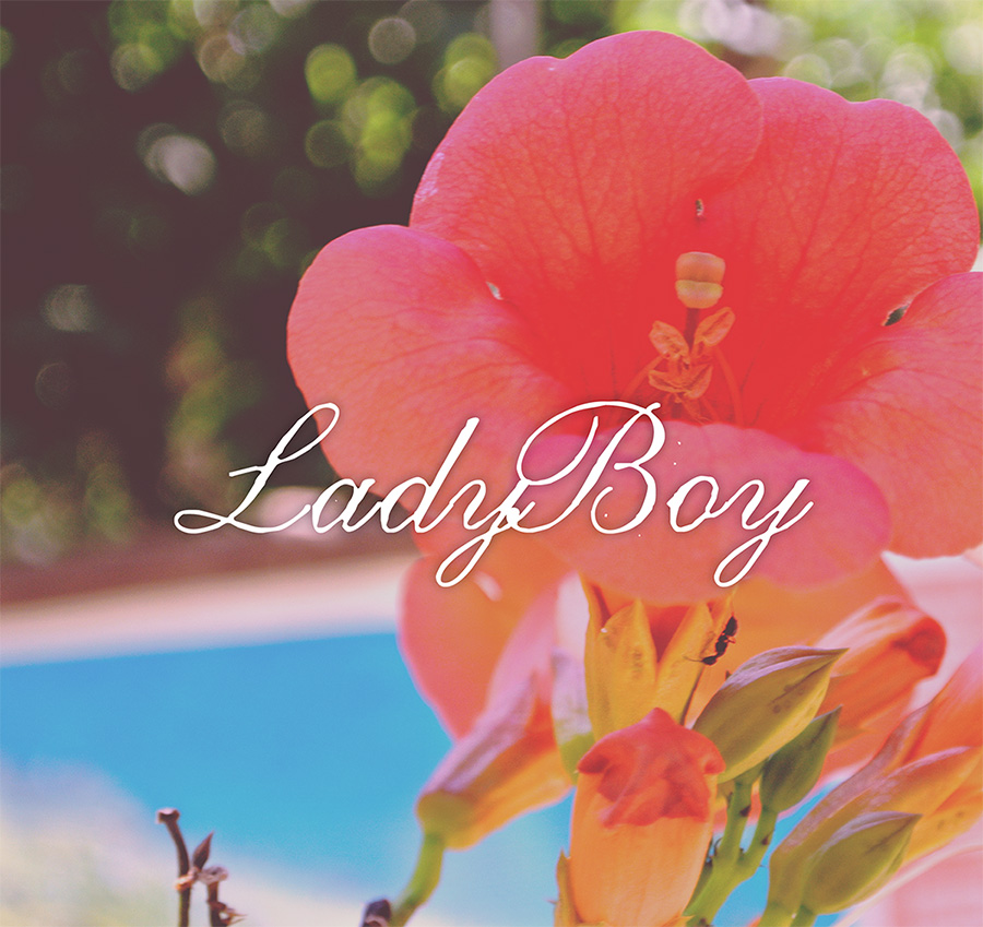 Nrw ladyboys Free Ladyboy