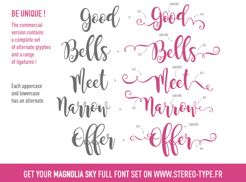 best type set to go with lucida calligraphy font