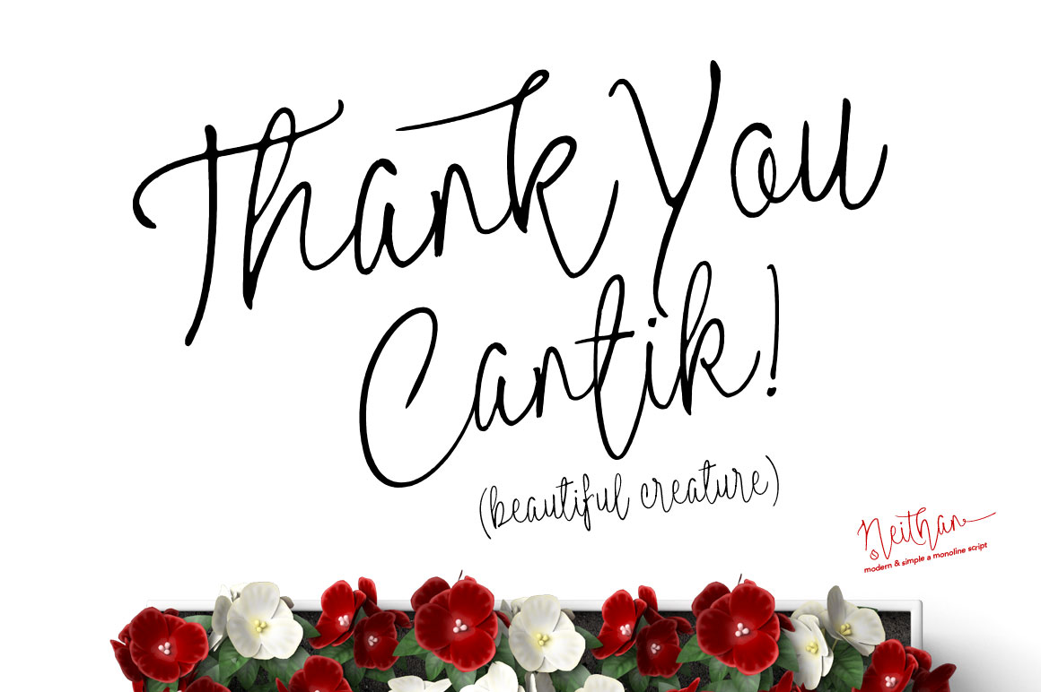 thank_you_neithan_modern_monoline_script-o