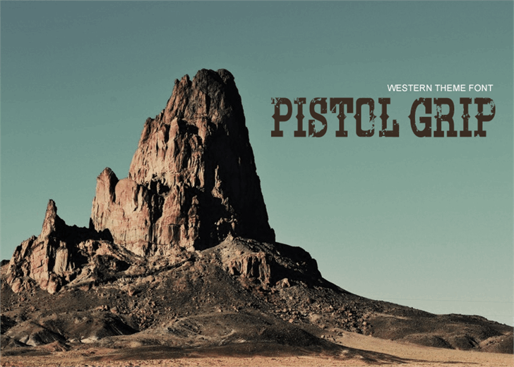 Pistol Grip Pump 1