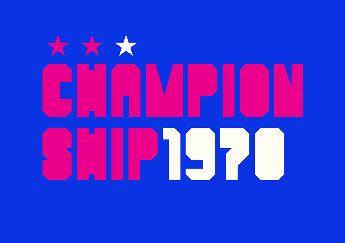 Bedel Font Family 21