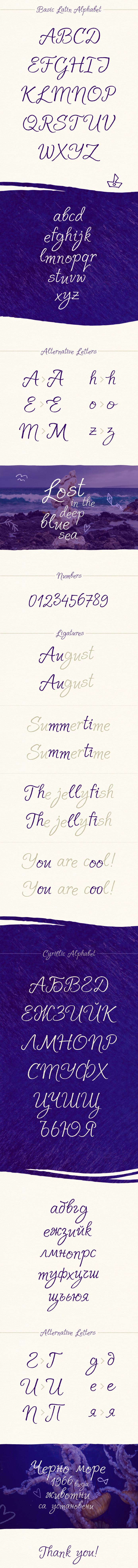 Solena Script Font 12