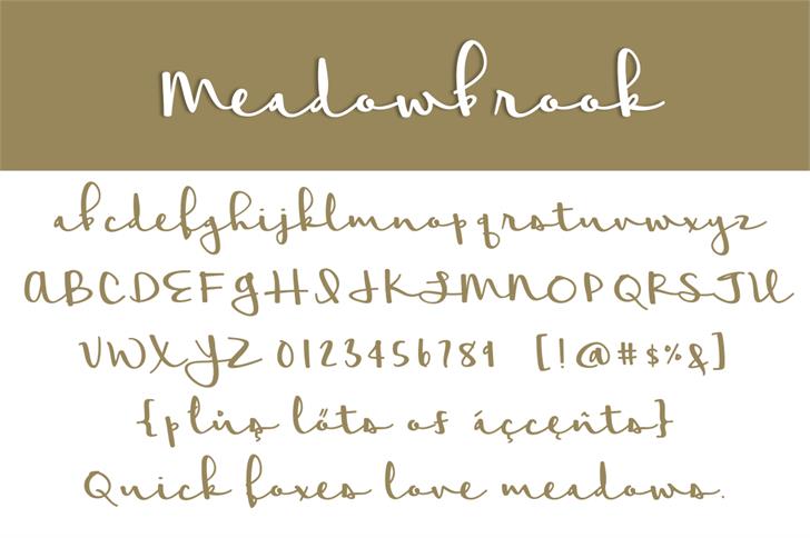 Meadowbrook Font