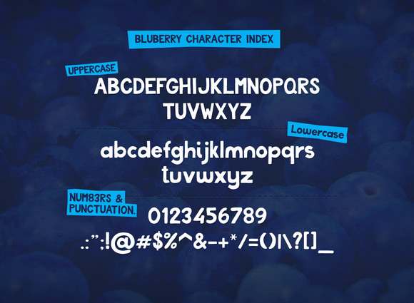 Free Bluberry Typeface Script Fonts