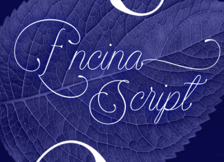 Free Manttes Script Brush Script Fonts