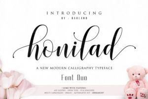 Kaiyila Script Free Font / Kaiyila Script + Sans | Calligraphy script fonts, Script ... - Kaiyila script a new fresh & modern script with a handmade calligraphy style, decorative characters and a dancing baseline!