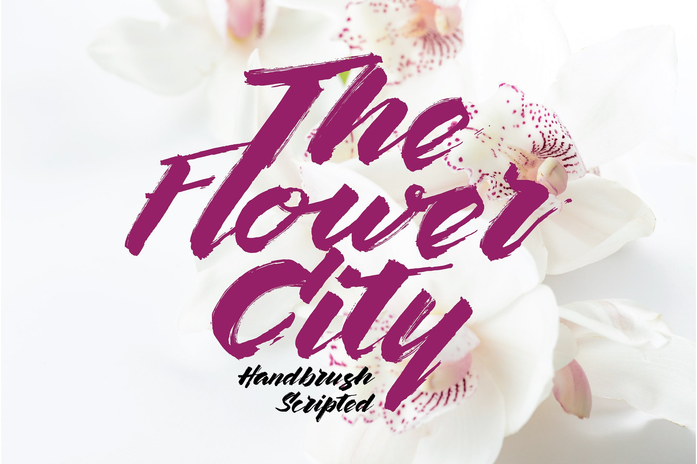The Flower City Script Font