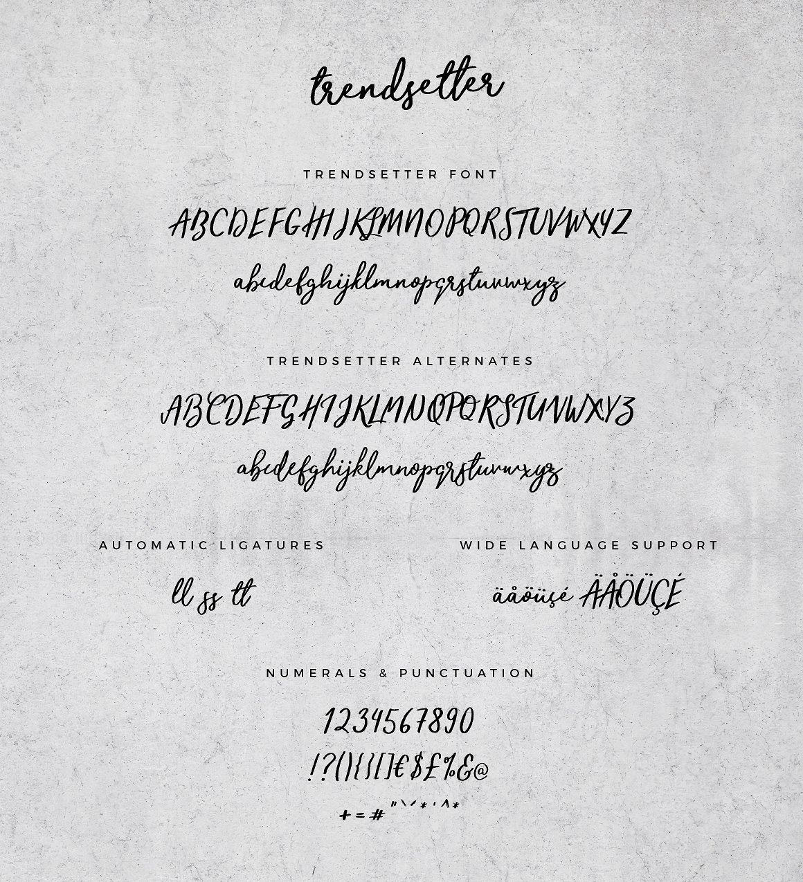 Trendsetter Script Font
