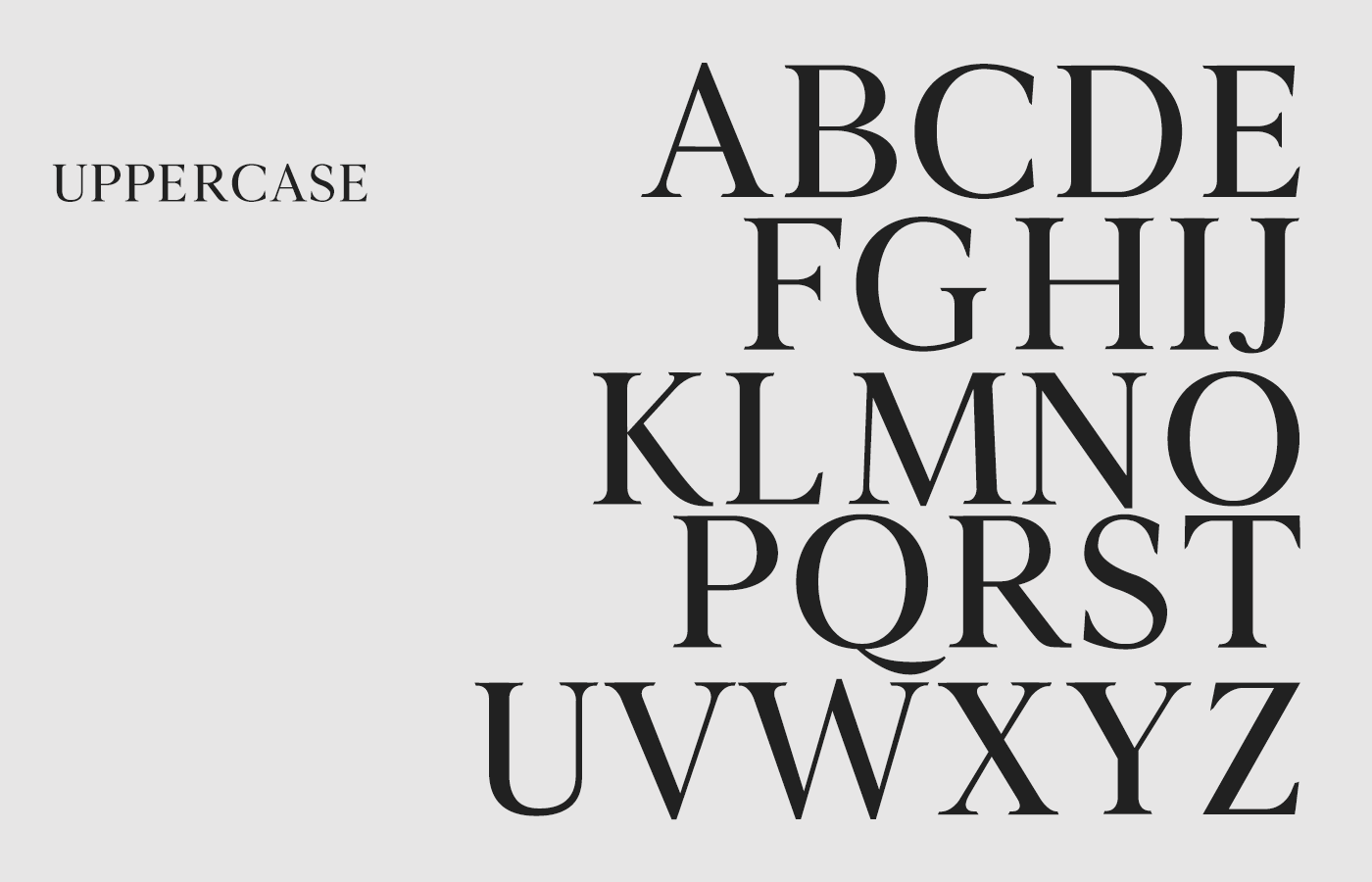 Free Professional Serif Fonts