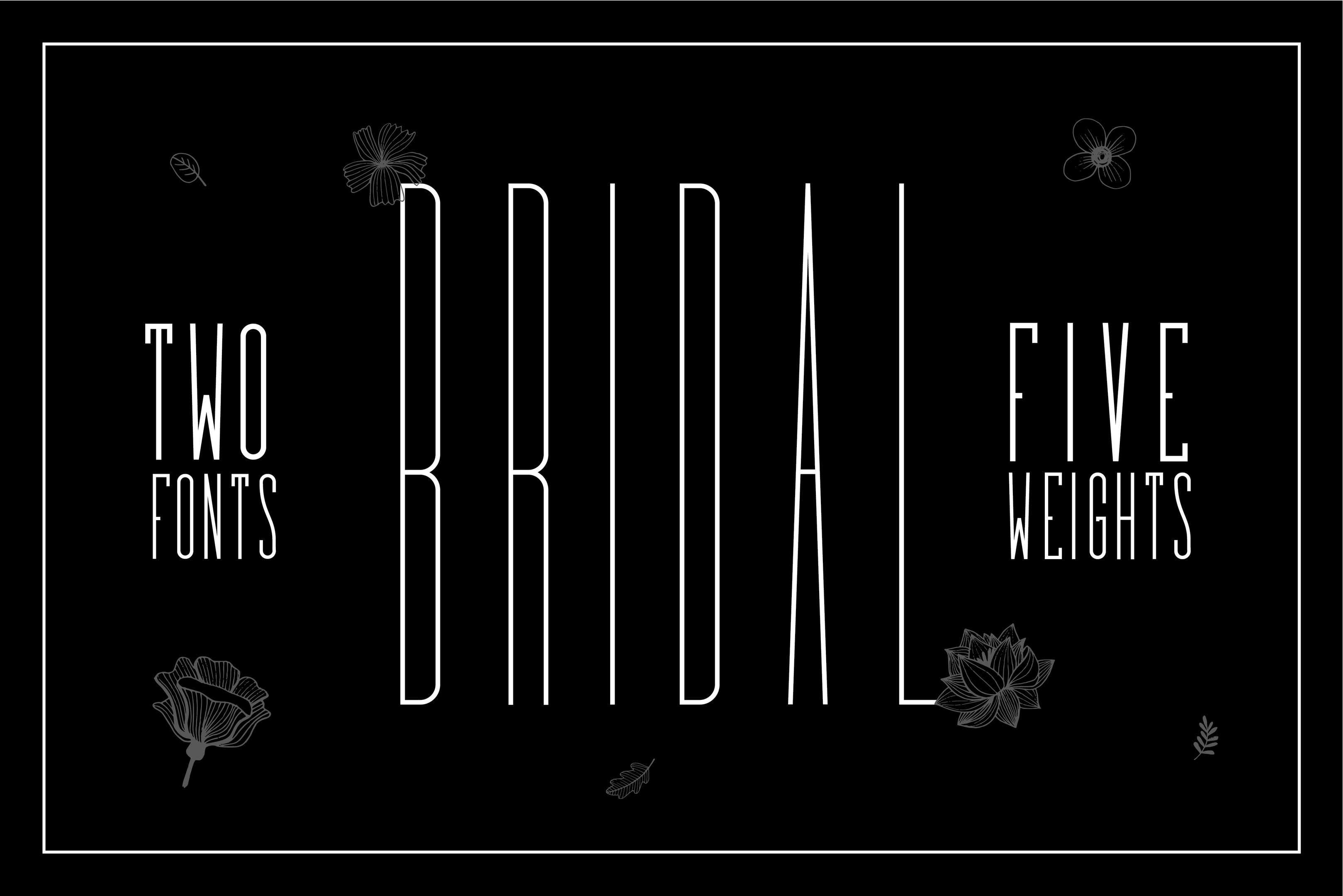  Bridal  Font  Befonts com