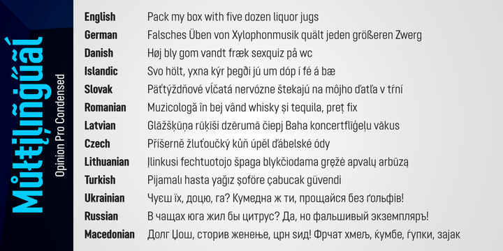 Opinion Pro Font Family Opinion Pro Font Family