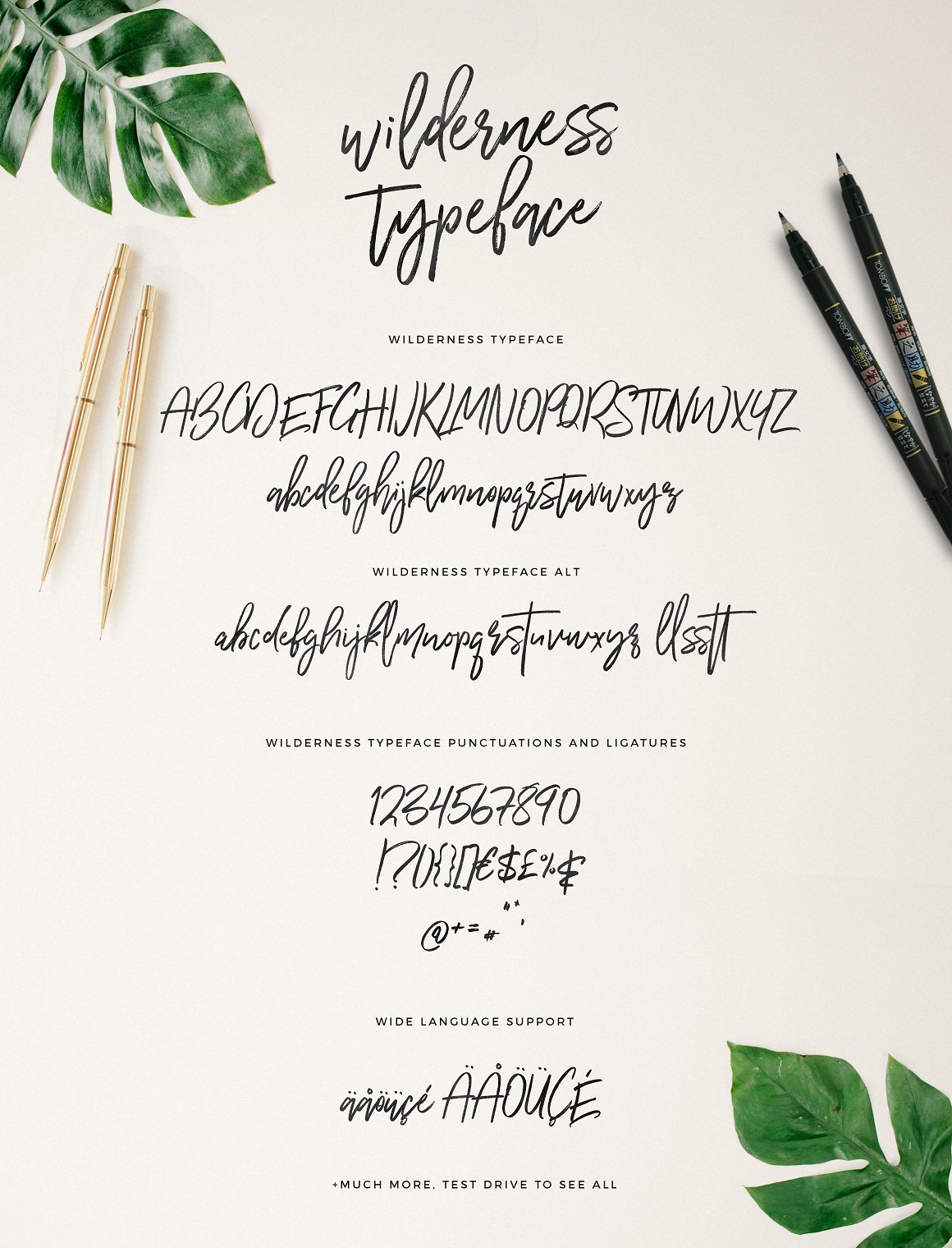 Free Wilderness Typeface Script Fonts