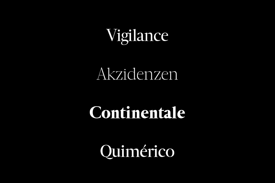 Luzia Font Family Luzia Font Family