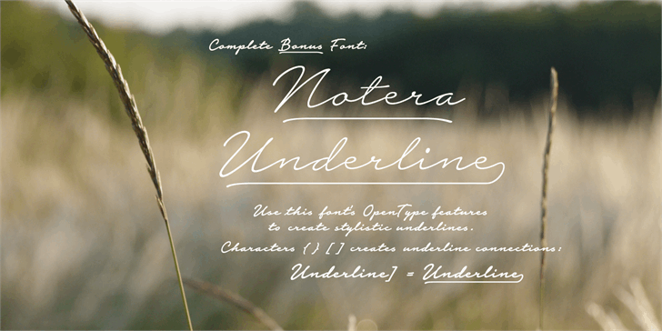 Download Notera 2 Script Font Befonts Com SVG Cut Files