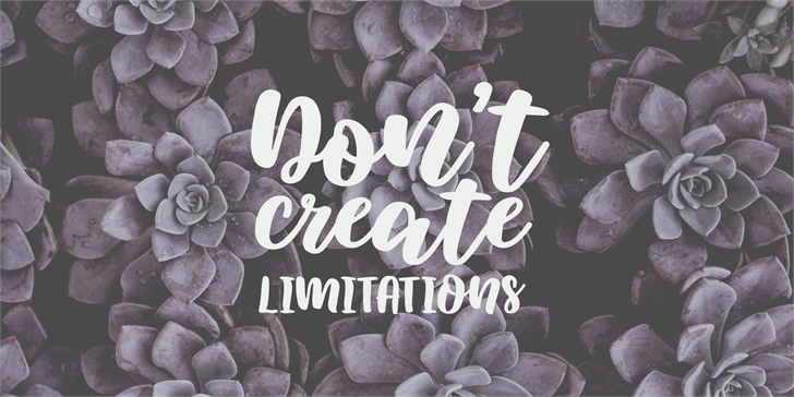 Elowen Script Font