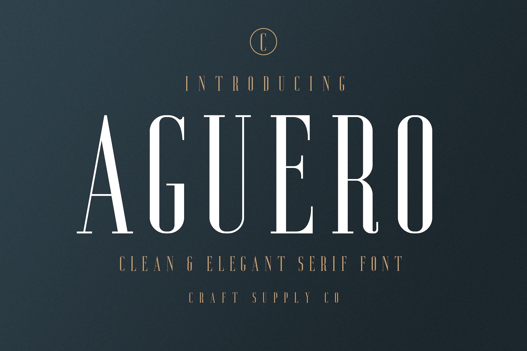 aguero-serif-font-befonts