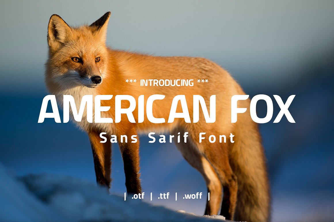 American fox fan. Fox шрифт. Лиса шрифтовая. Лиса Американ. Шрифт лиса.