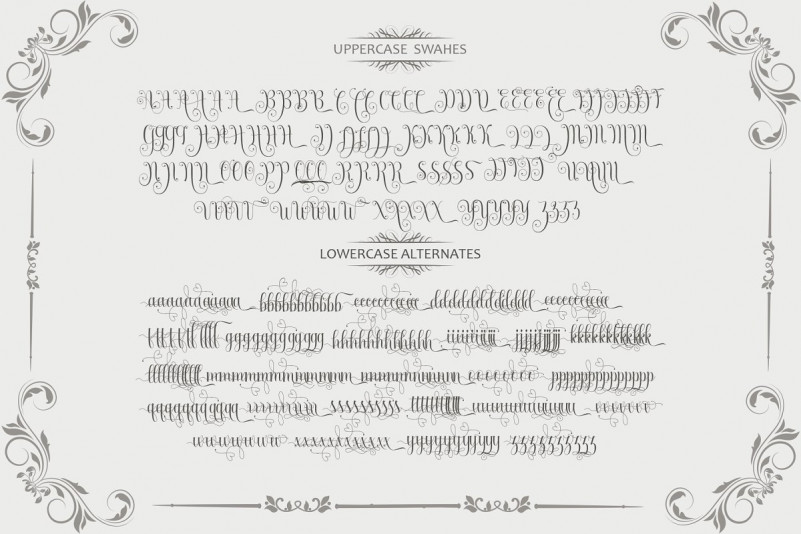 Armadilla Script Font