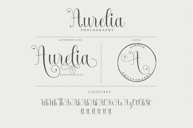 Armadilla Script Font