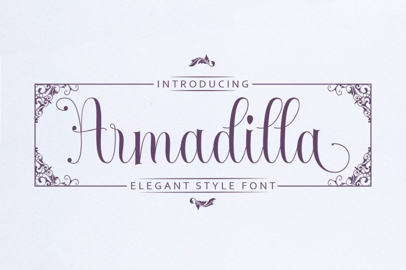 Armadilla Script Font