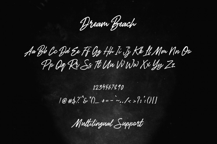 Dream Beach Script Font Befontscom