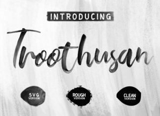 Troothusan Brush Font