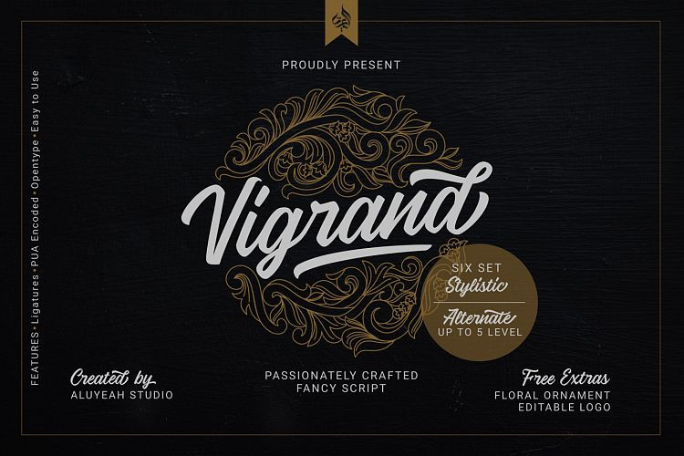 Vigrand Script Free Demo