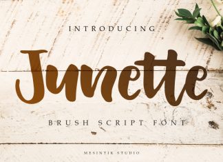 Junette Script Font
