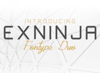 Exninja Font Duo