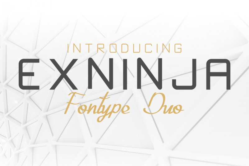 Exninja Font Duo