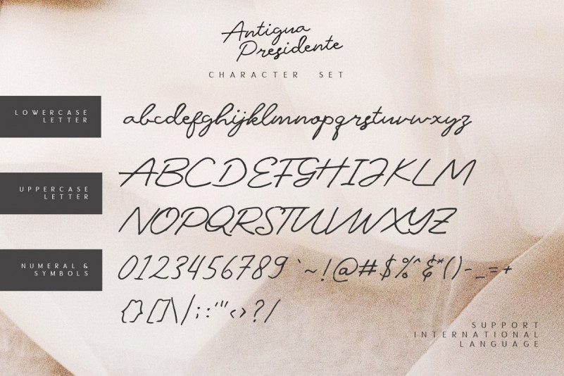 Antigua Presidente Script Font