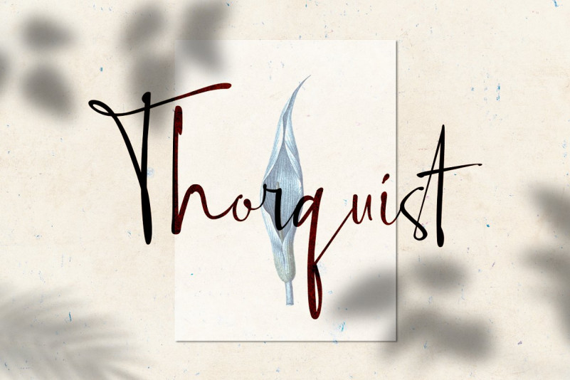 Ethiopia Script Font