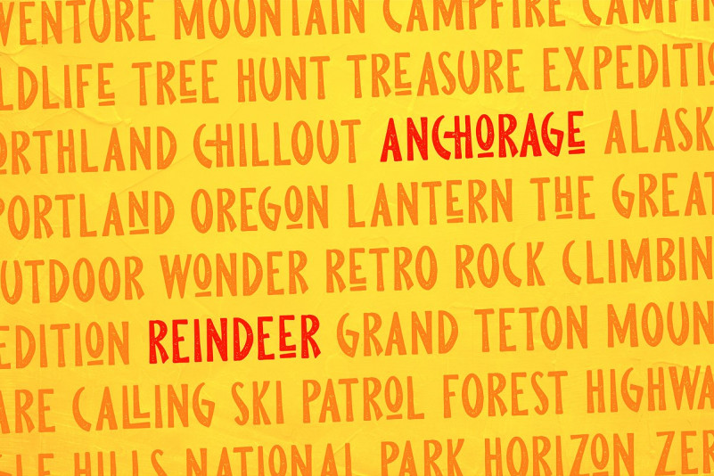Pine Forest Font