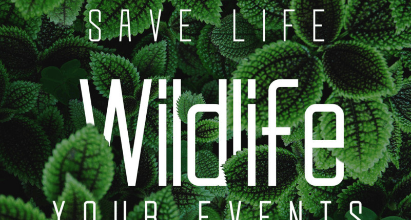 Slender Font Family