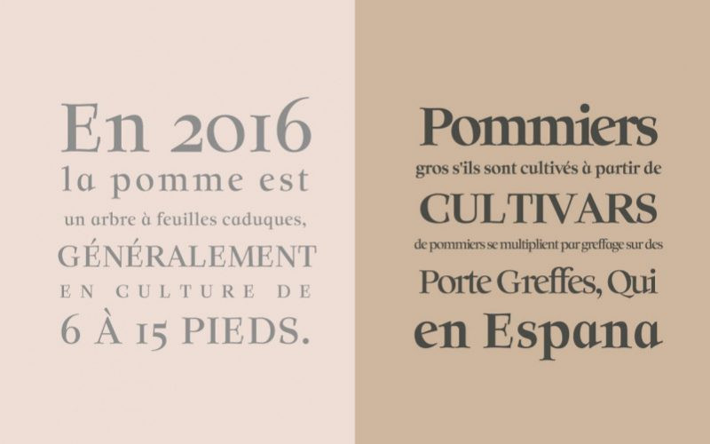 Solomon Font Family