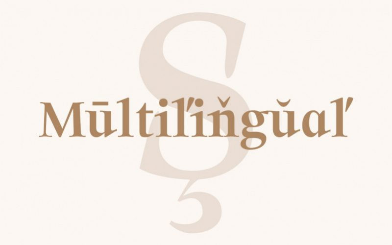 Solomon Font Family