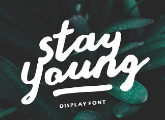 Stay Young Script Font