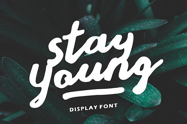 Stay Young Script Font