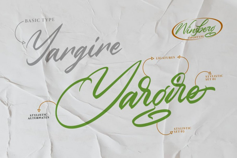 Winsberg Font