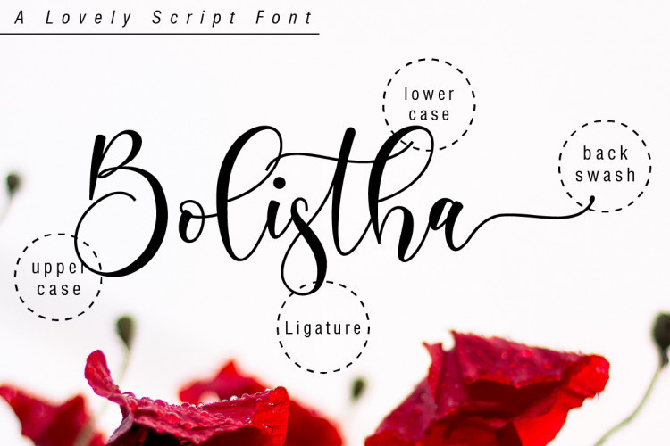 Boshela Script Font