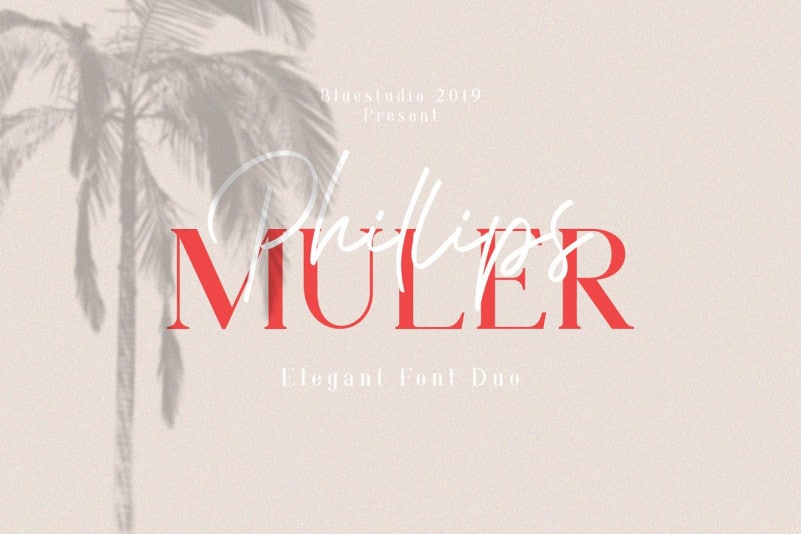 Phillips Muler Font