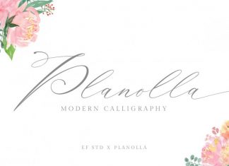 Planolla Calligraphy Font