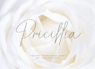 Pricillia Signature Font