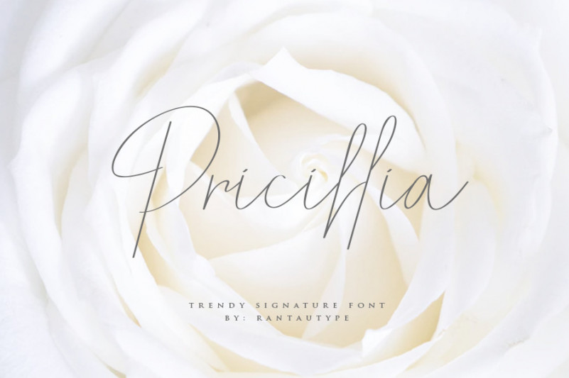 Pricillia Signature Font