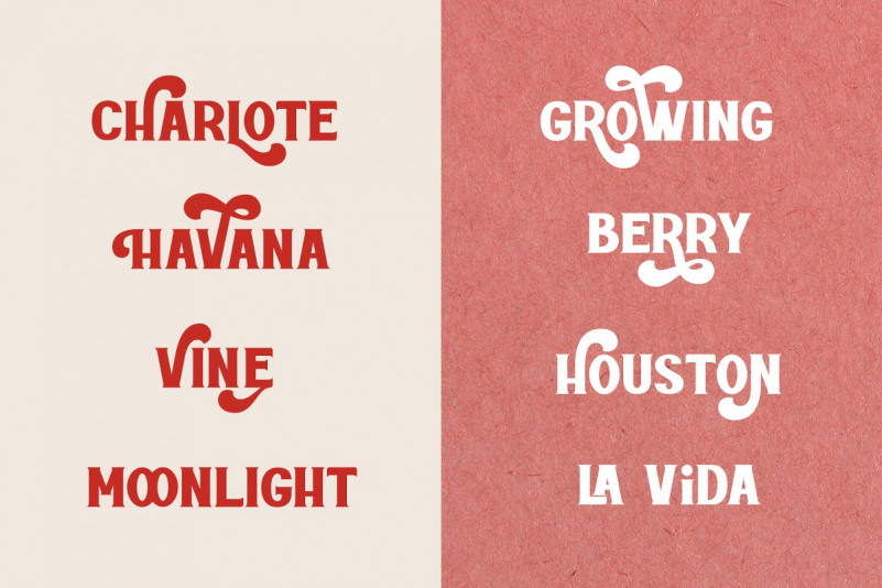 Rottely Display Font