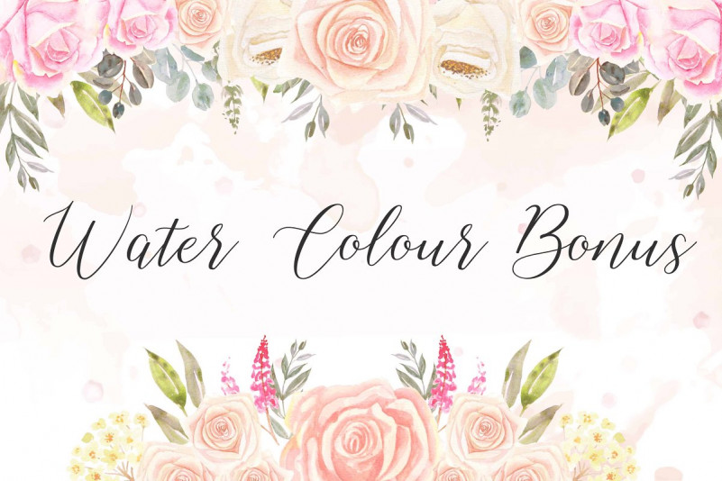 Shelline Script Font
